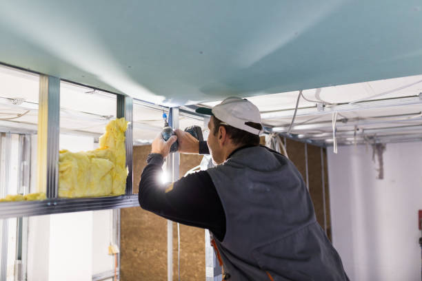Best Cellulose Insulation in Brookhaven, MS