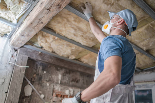 Best Geographic-Specific Insulation Services in Brookhaven, MS