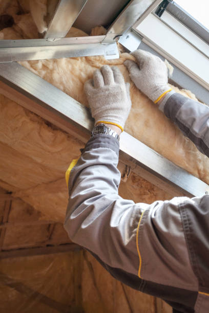 Best Residential Insulation in Brookhaven, MS