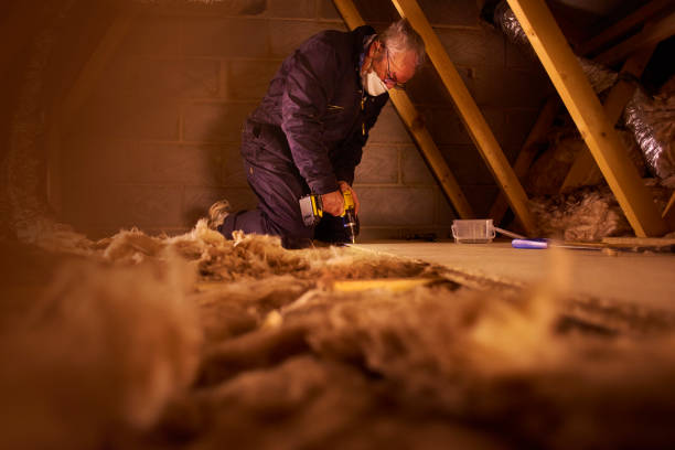 Professional Insulation Contractor in Brookhaven, MS